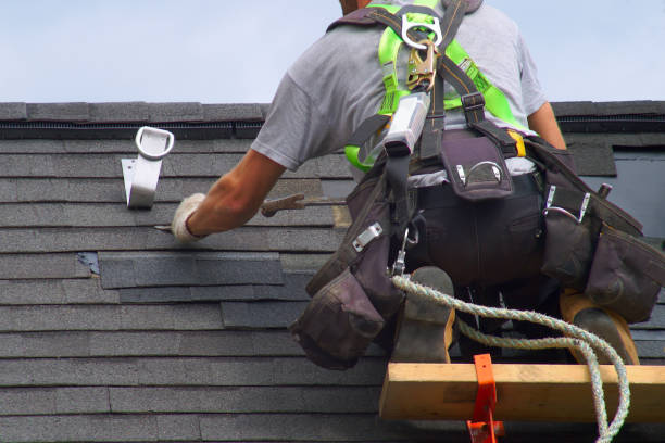 Best New Roof Installation  in Waverly, IL