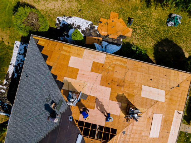 Best Metal Roofing Contractor  in Waverly, IL