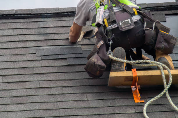 Best Local Roofing Companies  in Waverly, IL