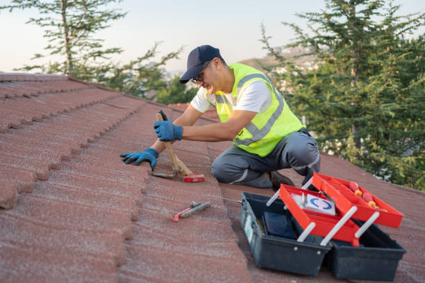 Best Commercial Roofing Services  in Waverly, IL