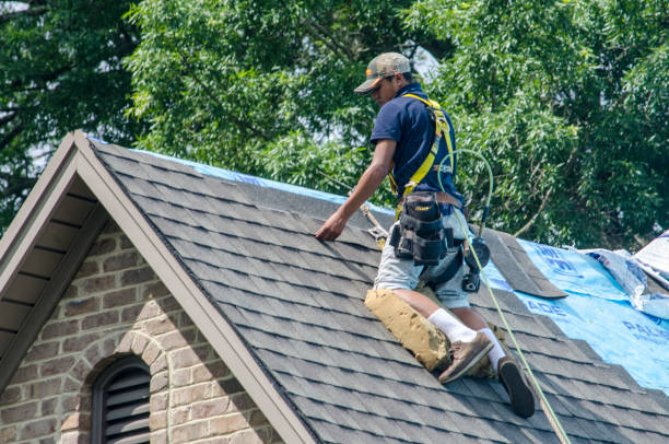 Quick and Trustworthy Emergency Roof Repair Services in Waverly, IL